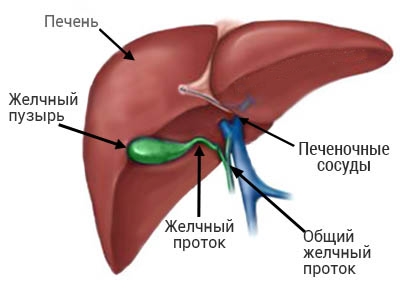 Запас не тянет!