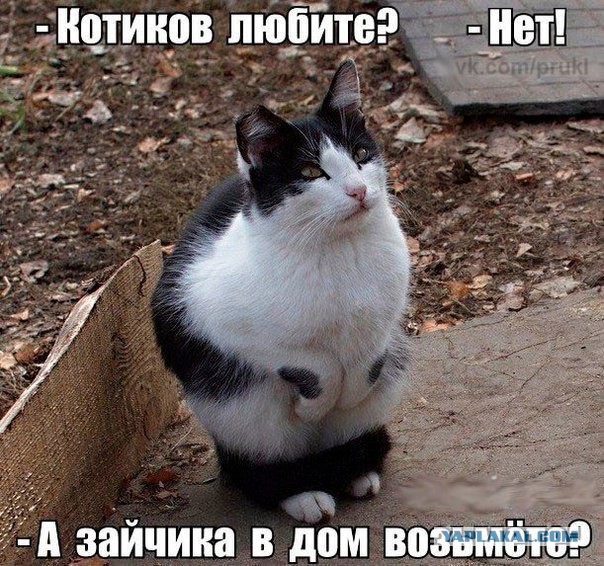 Тематическая подборка картинок (18+)
