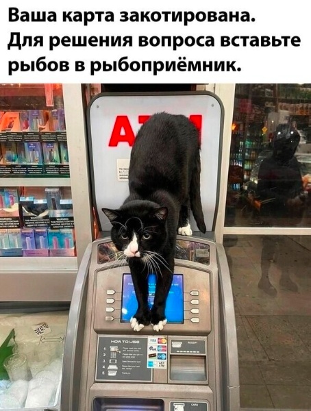 Начнем с картинок