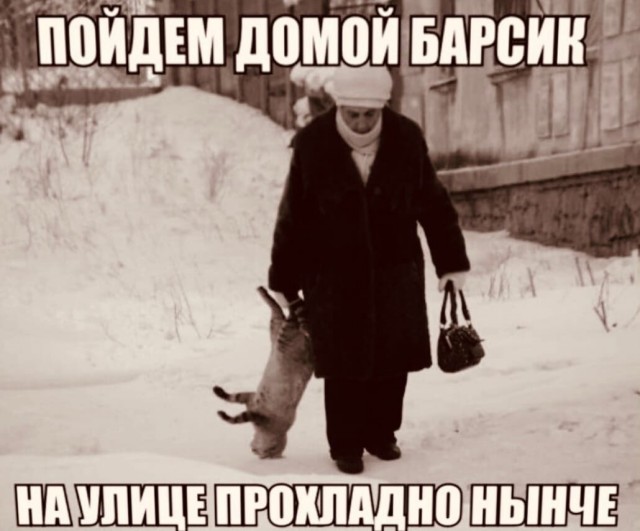 Картинки и мемы, всяко разно - 183