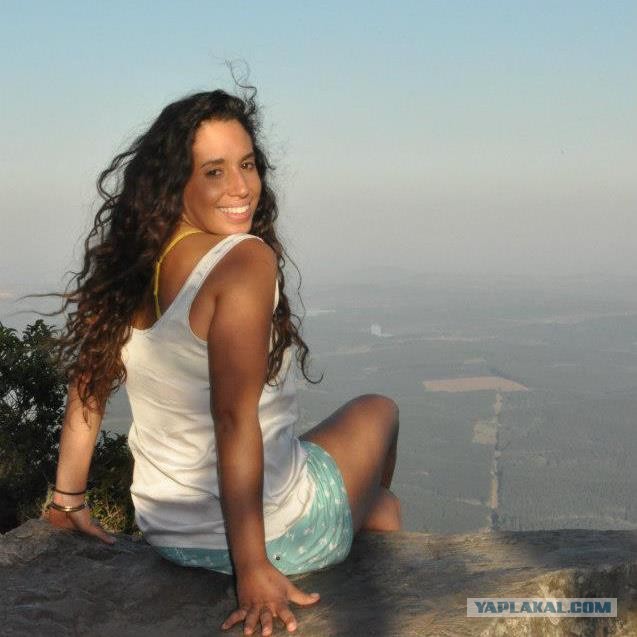 Бульдог, тигр и лев