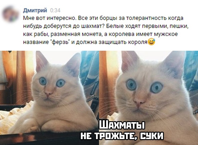 Так себе картинки 27.08.23