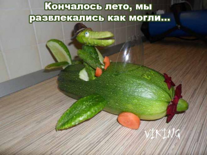 Может на япе кабачок свой подсунешь кому?)