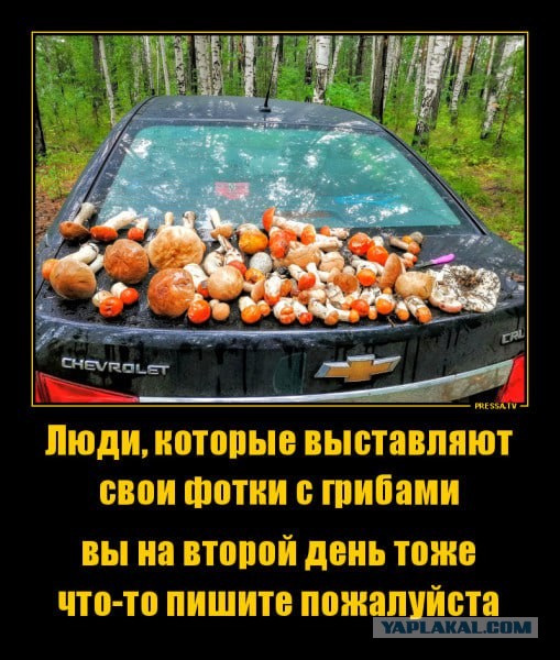 Записки тихого охотника
