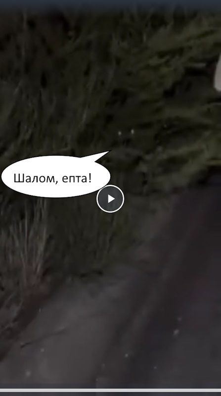 Какая смелая девушка..