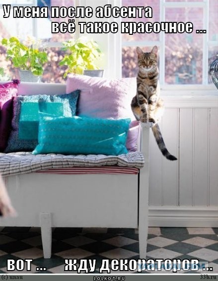 КотЭ и препараты