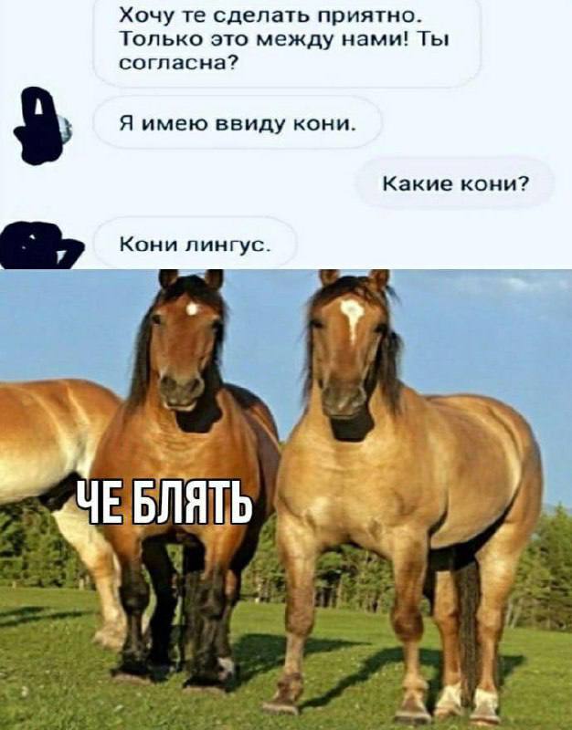 Так себе картинки 14.05.25