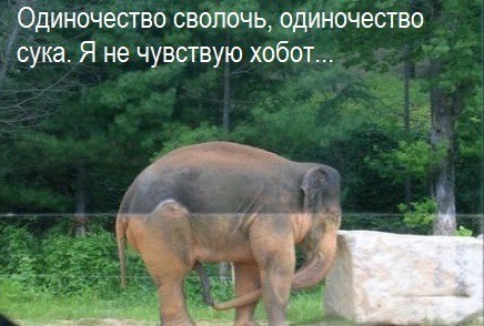 Веселое настроение в картинках (28.10.2025)