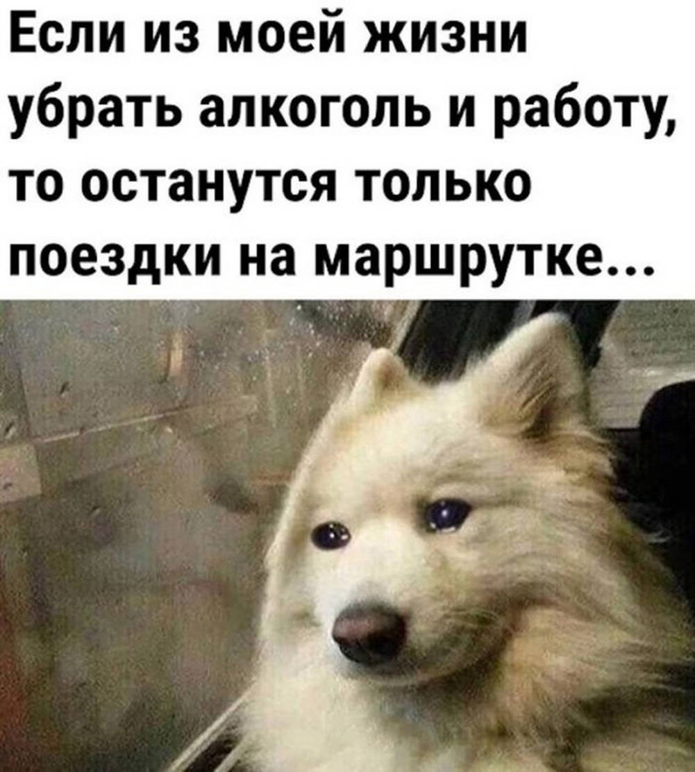 20537164.jpg