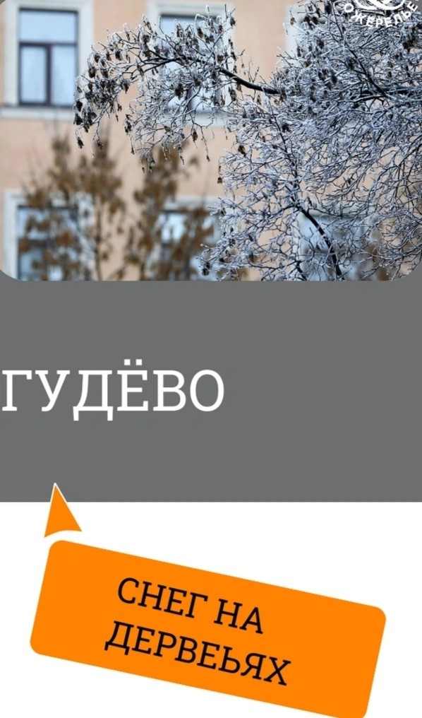 А в Питере сегодня лым.