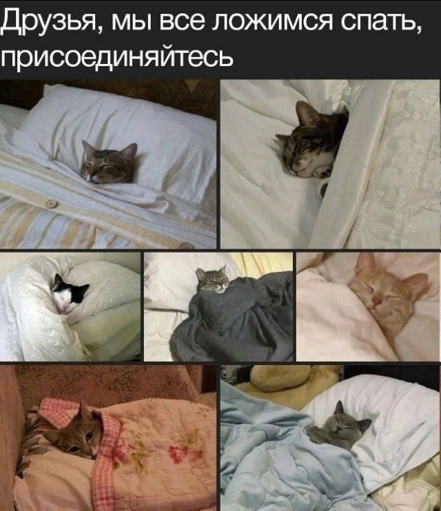 Картинки понедельника