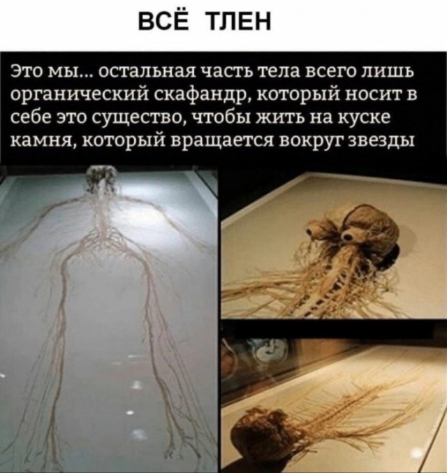 Сколько в нас «нас»? Наука доказывает, что ваше тело вам не принадлежит