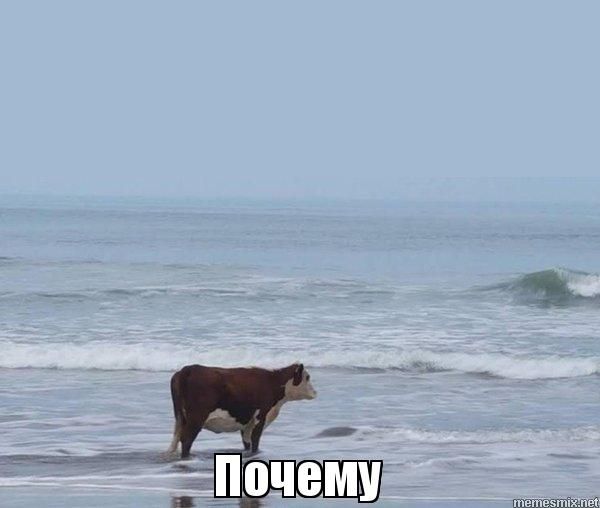 Вот именно⁠
