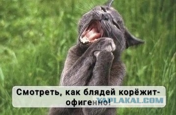 Почему именно мы сейчас страдаем? Мы же избранный народ!»