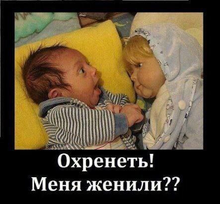 Веселые картинки в понедельник (06.04)