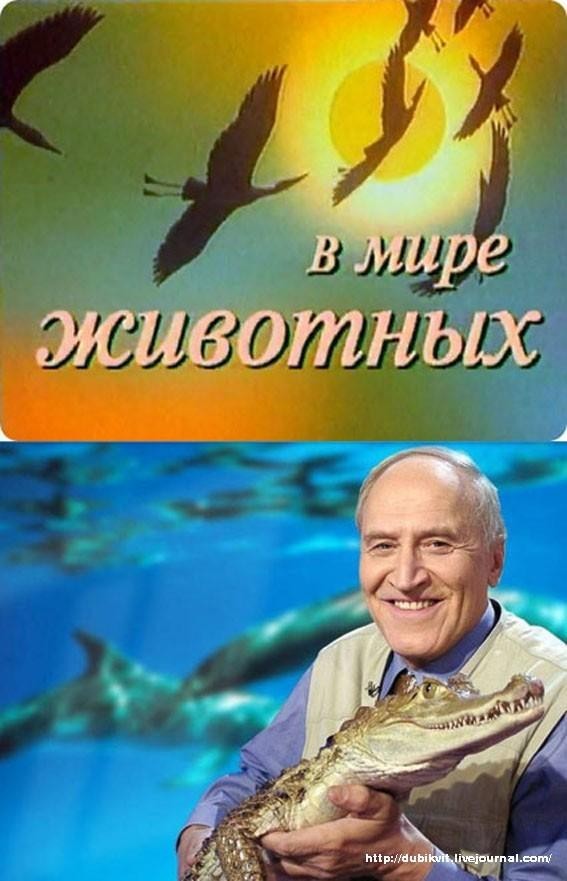 Вот бы этих двух где-нибудь вместе свести по разные стороны баррикад/барьеров!
