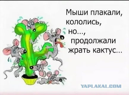Гид-сектант заставлял туристов общаться с водой и есть тухлую еду перед восхождением на Эльбрус