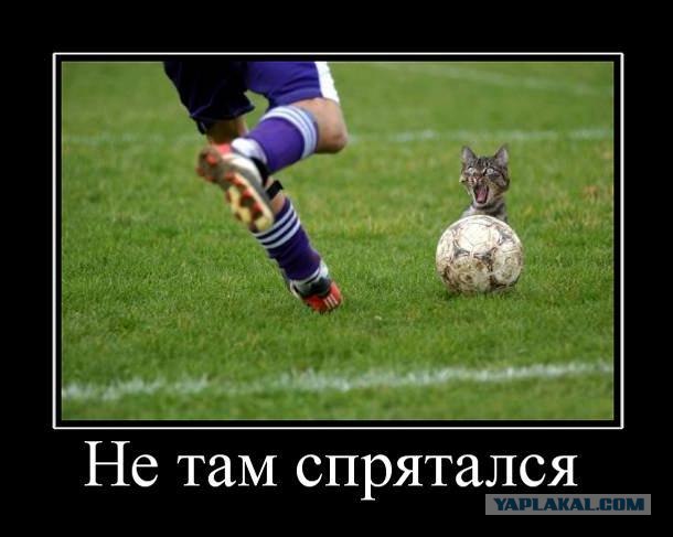 Личный сборник демотиваторов [~25]