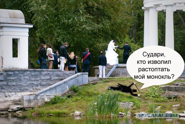 Ах эта свадьба ...
