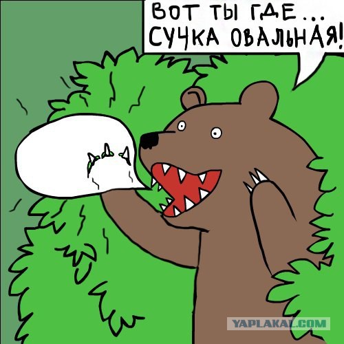 Медведи почти на все случаи жизни