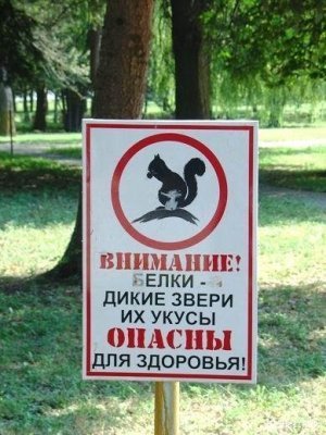 Как шагает Белок