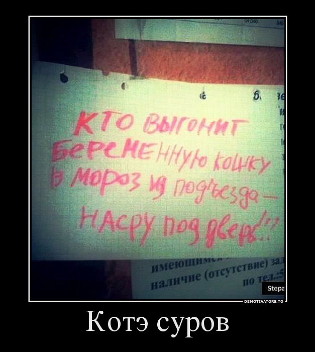 20 объявлений месяца, которыми мы гордимся