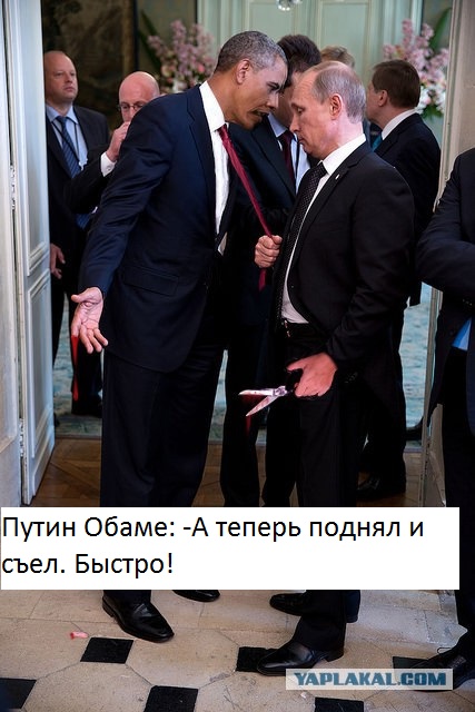 Одна жаба
