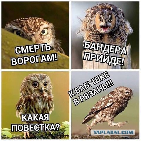 Вот и стали мы снова братьями