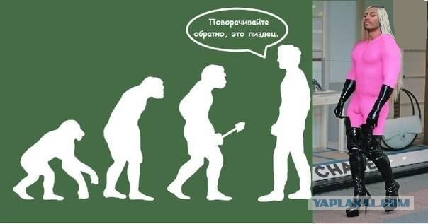 Картинки