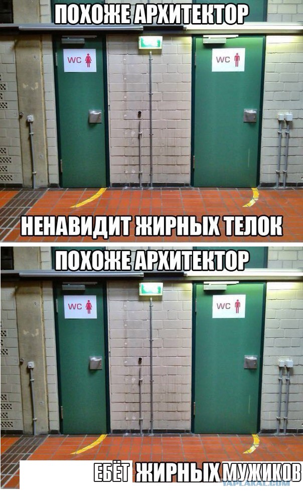 Смешные картинки и комментарии из сети