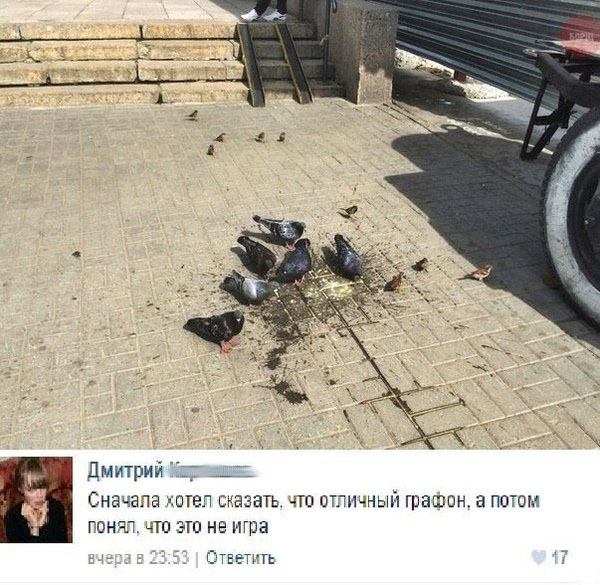 Смешные комментарии 26.04.2015