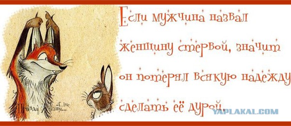 Интересные факты о разном