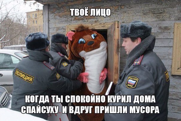 Минутка наркоманского юмора