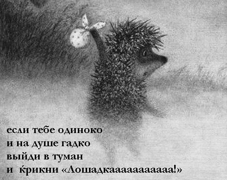 Смешные картинки