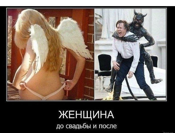 Приколы из сети