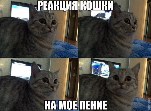 Подборка картинок из сети