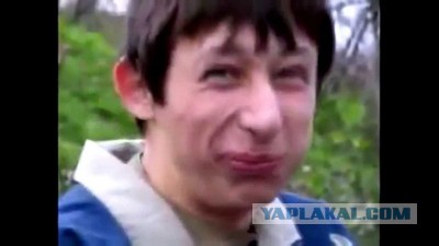 Веселое быдло