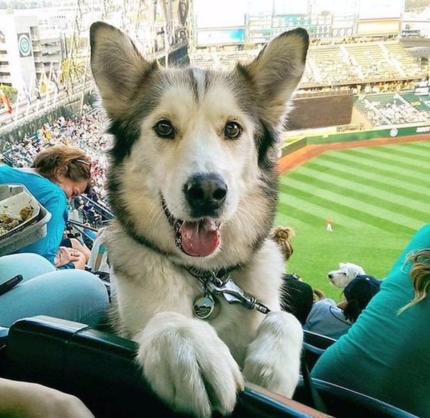 Подборка картинок 29.02.16