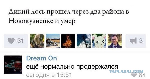 В Новокузнецке Медведева охраняли снайперы на крыше