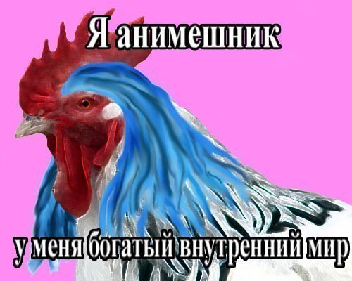 Никаких Няш-Мяш 2