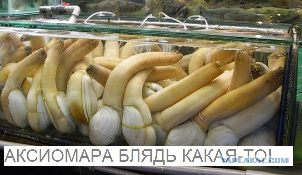 Никаких Няш-Мяш 2