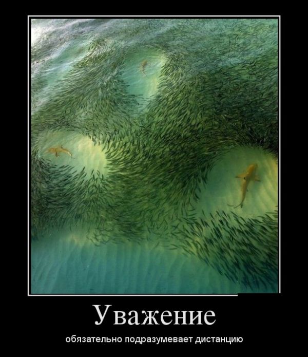 Картинки на пятницу