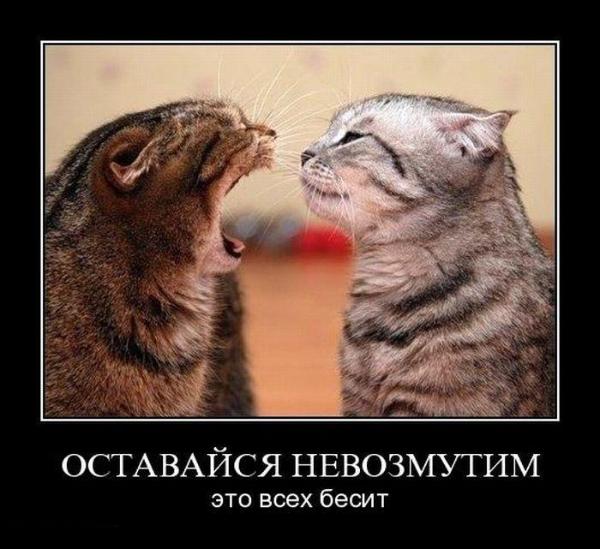 Женщины иногда лезут в мужские темы