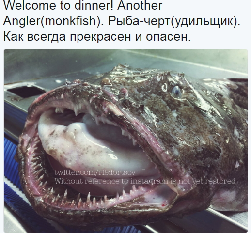Порция новых монстров, выловленных в океане
