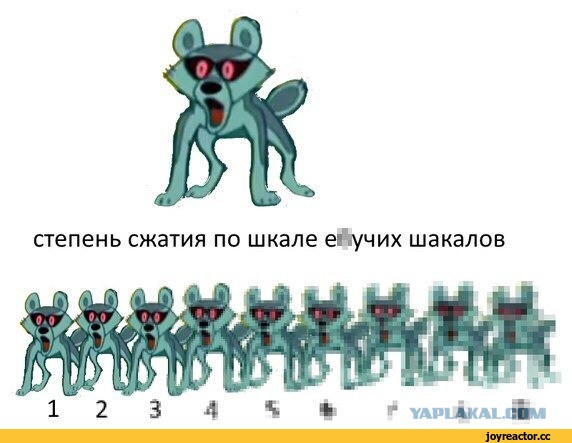 Уровень пиратства в России за год вырос на 300%