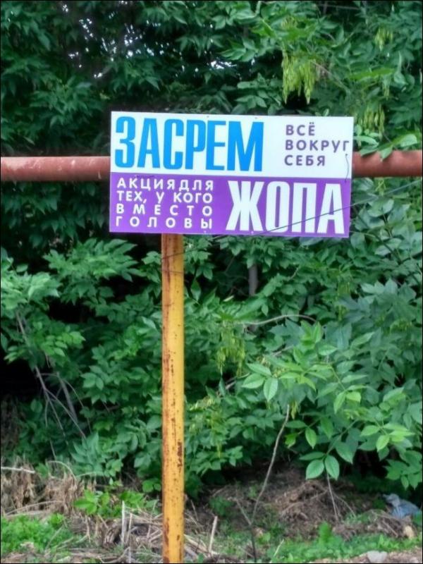 Подборка интересных и веселых картинок