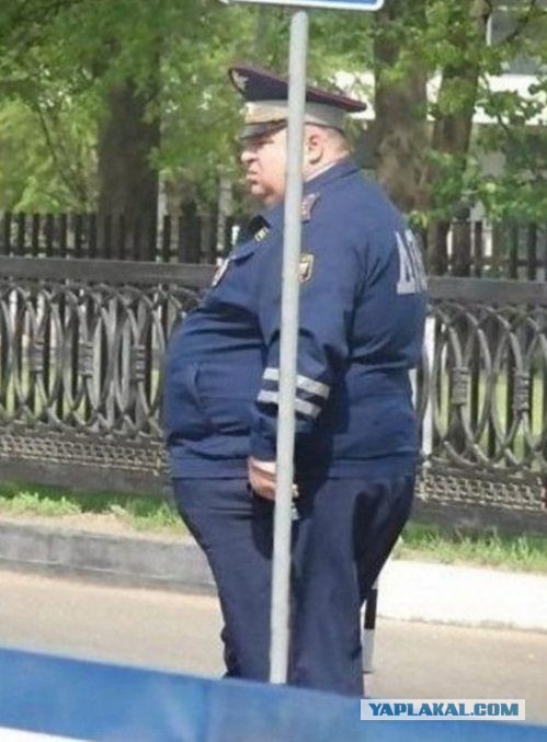 За какой выезд на встречку не отберут права? Если сильно постараться…