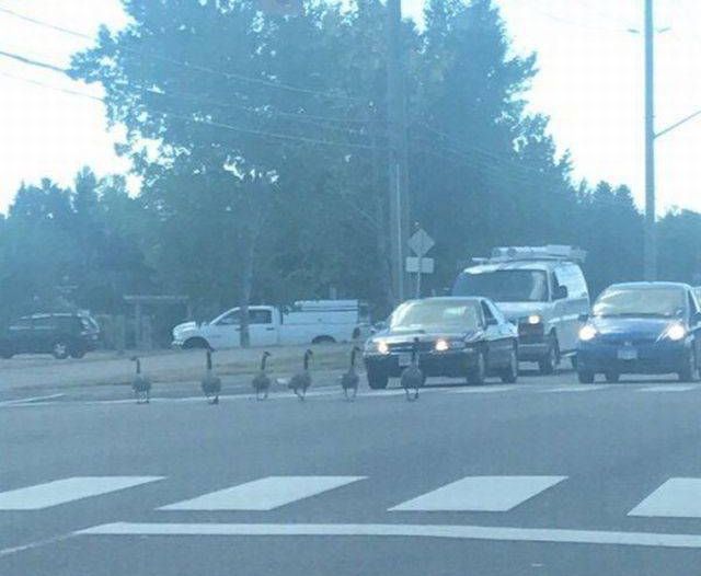 Подборка интересных и веселых картинок
