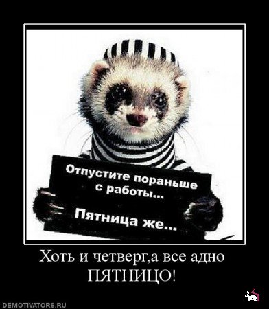 Самые известные мемы в истории Интернета