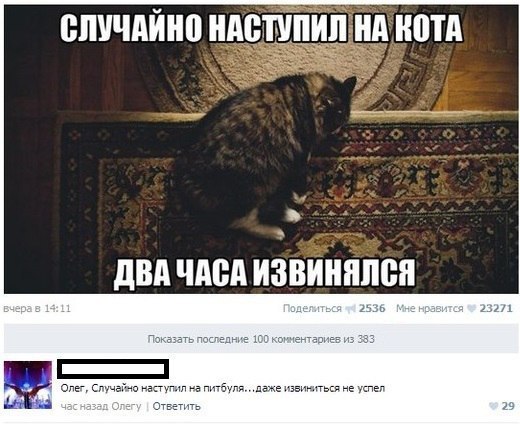 Смешные комментарии из социальных сетей 09.06.2018